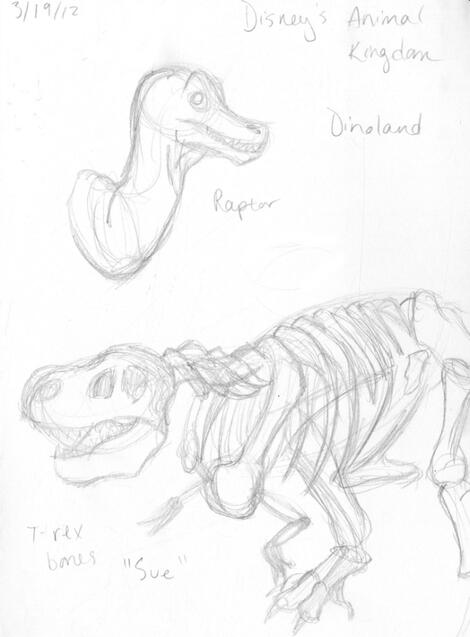Animal Kingdom Studies 04