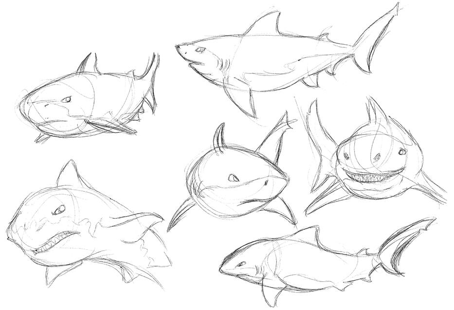 Bull Shark Study 01
