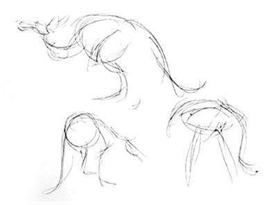 Jacksonville Zoo Studies 02